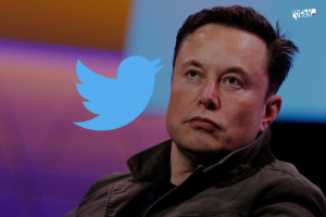 Twitter Blue, Elon Musk, Verificación de Twitter